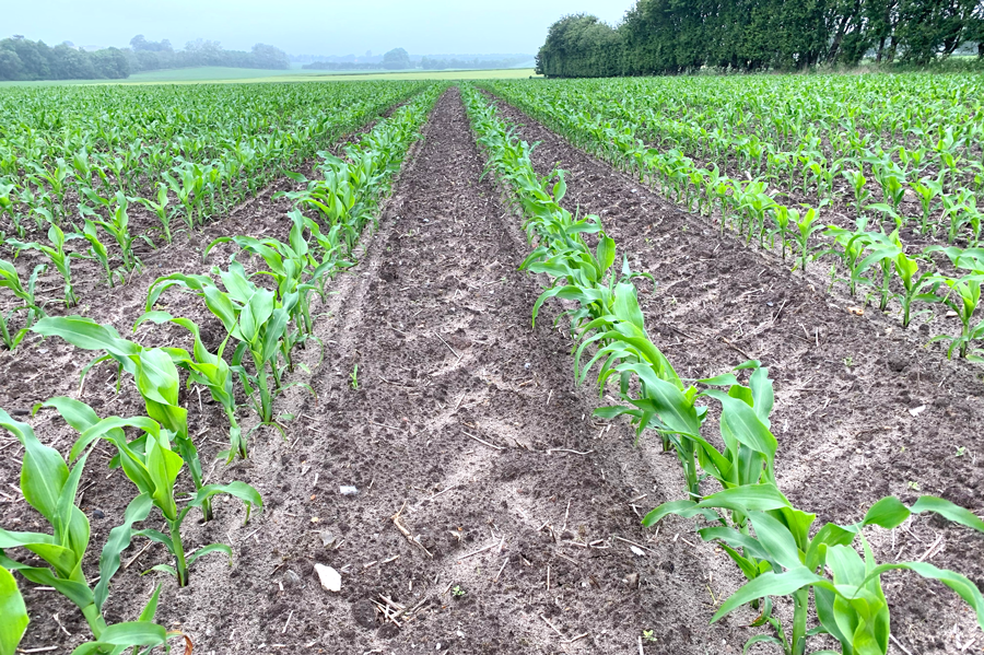 A.2.Maize growing requirements part 1